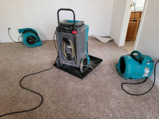 Professional Water damage restoration in LA