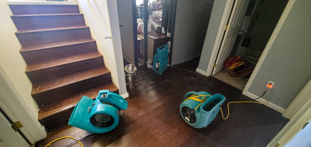 Best Water damage contractors near me  in Jennings, LA