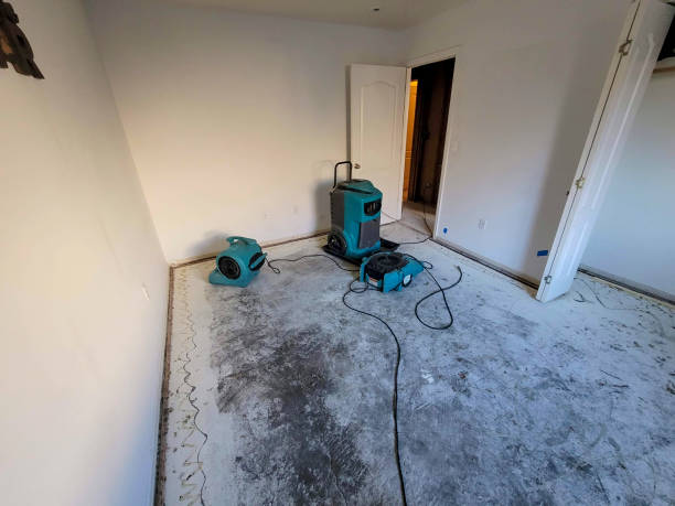 Best 24-hour water damage restoration  in Jennings, LA