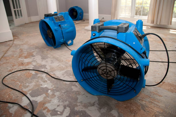 Best Water damage contractors near me  in Jennings, LA